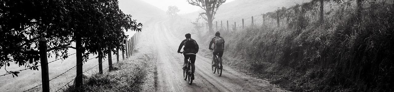 Steady Pedals in a Softened Landscapeimage